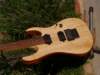 anotherrgreplacementbodya7stringtofriskpterfrontsold_small.jpg