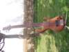 thepaduakbody6stringbasswithbartoliniandemgbqcsoldbutanotheroneinprogress_small.jpg